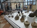 Im archäologischen Museum von Bologna - thumbnail